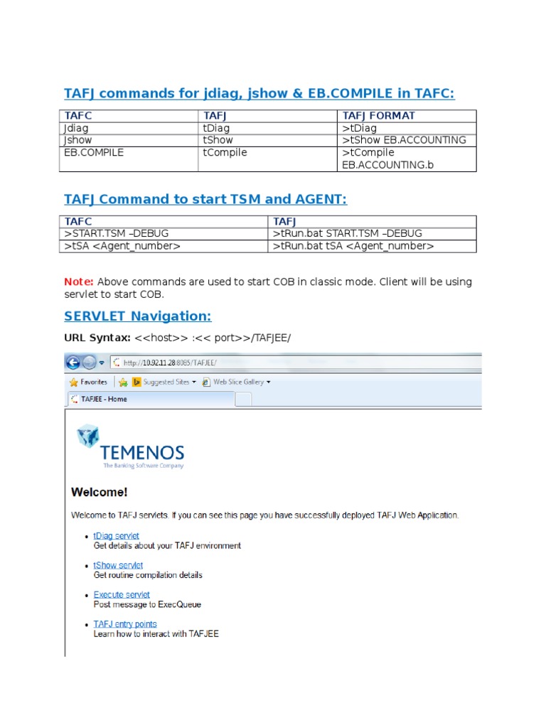 TAFJ Commands for TSM and JQL Operations | PDF | Filename | Computer Data
