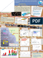 Deep-Sea Macrofauna Density and Taxon Composition