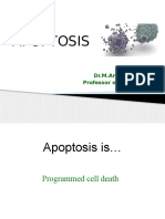 APOPTOSIS: Programmed Cell Death