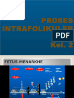 Intrafolikuler 