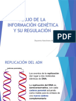 Duplicación, Transcripcion y Traduccion