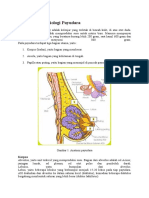 57922376 Anatomi Dan Fisiologi Payudara