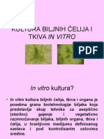 07 Kultura Biljnih Elija