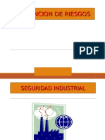 Fundamento de Seguridad Industrial 20.06