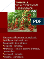 1 Tomatele