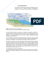 Ciclo Hidrologico y Clsificacion Del Agua