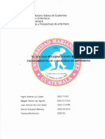 Licenciatura de Enfermeria PDF
