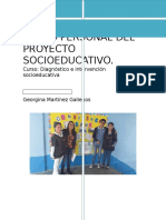 Diario Personal Del Proyecto Socioeducativo