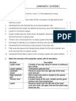 Lymphatic System