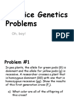 Practice Genetics Problems: Oh, Boy!