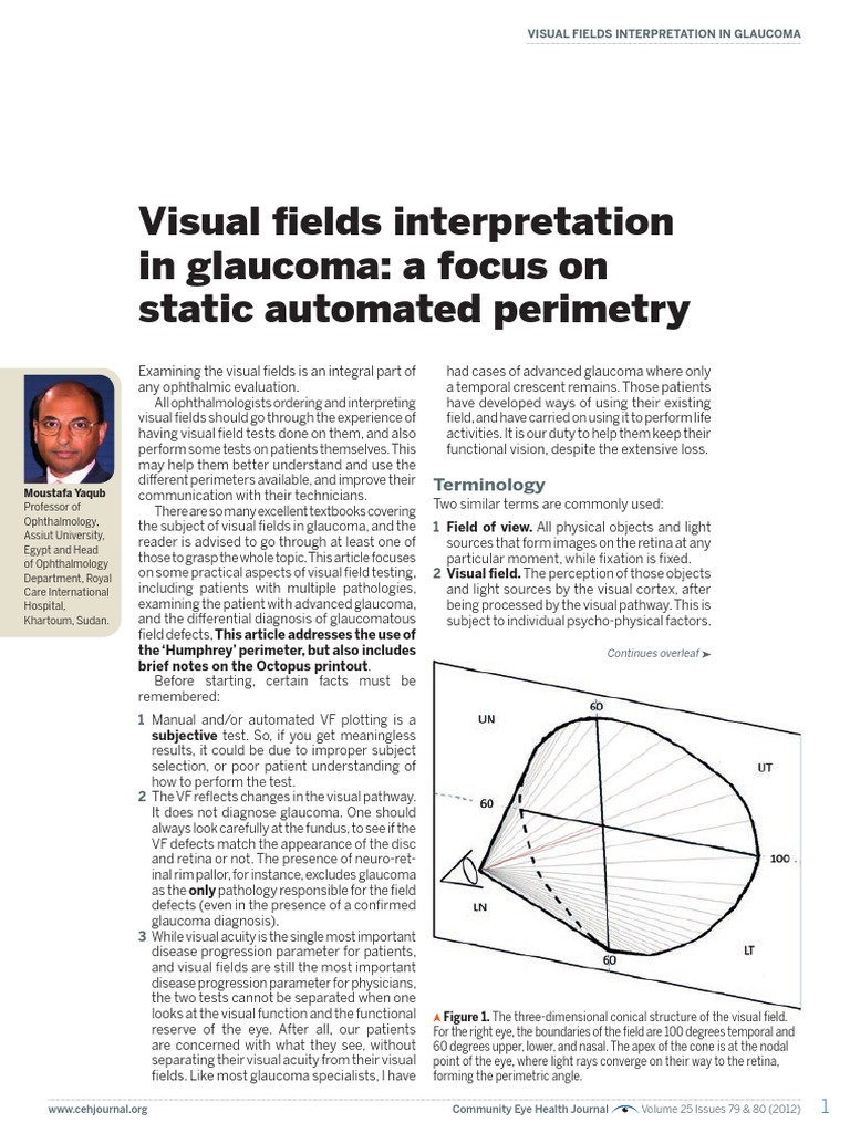 Visual Fields Interpretation in Glaucoma A Focus On Static Automated ...