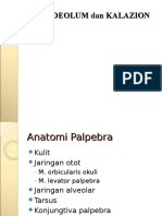 PPT-hordeolum Kalazion