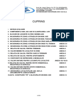 ExpertizaIasi2010 PDF