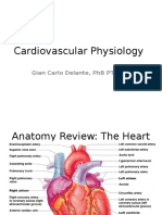 05 Cardiovascular System Physiology