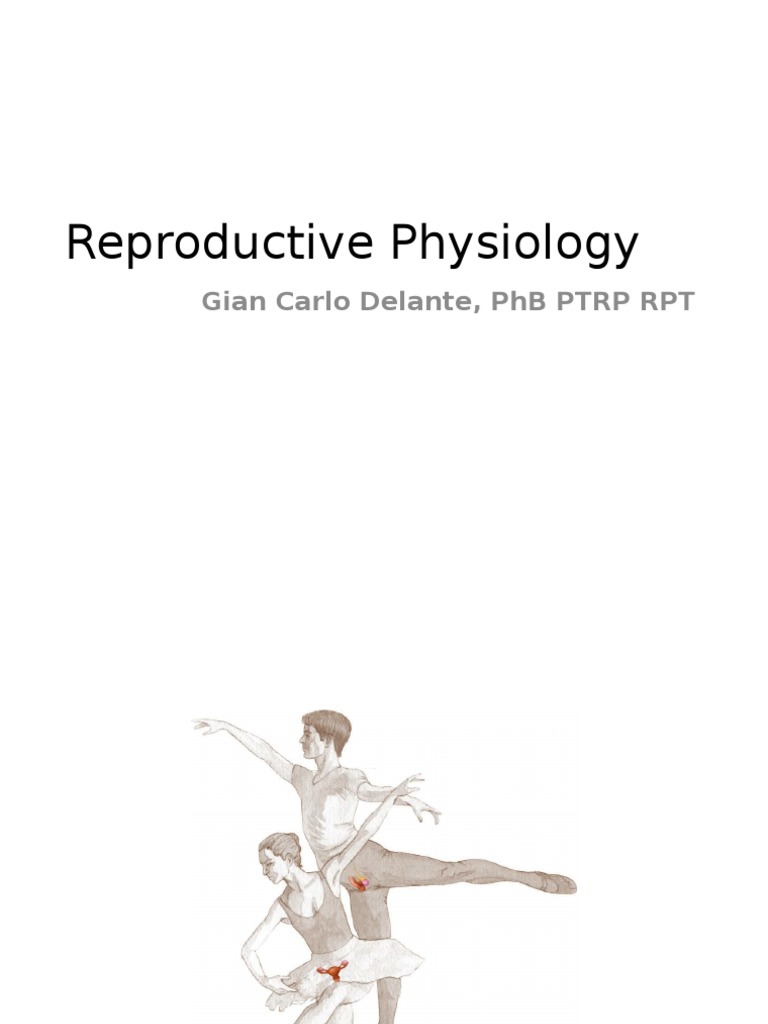 Fetal and Male Reproductive Development | PDF | Luteinizing Hormone ...