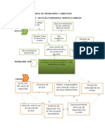 Arbol de Problemas y Objetivos