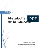 Metabolismo de La Glucosa