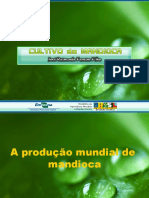 Cultivo Da Mandioca - Completo