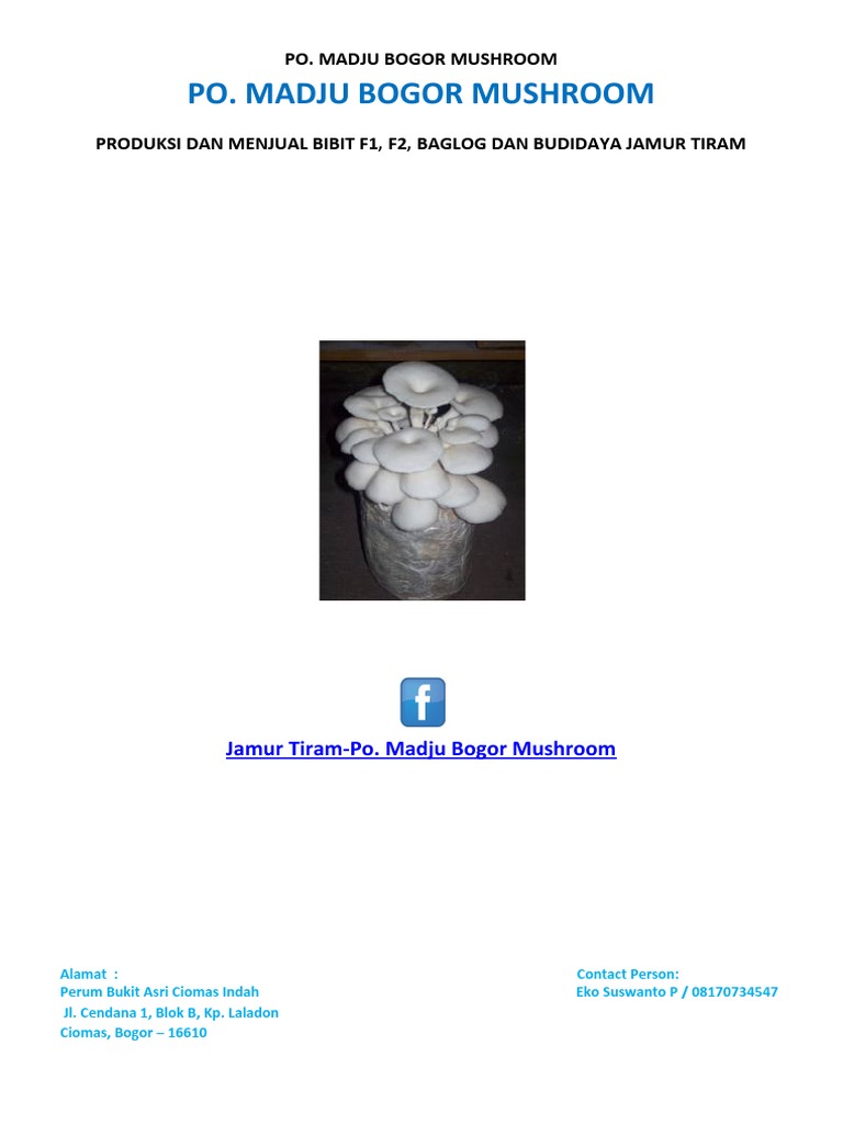 211061770MakalahBudidayaDanProsesPembuatanBibitJamurTiram.pdf