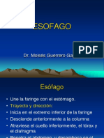 ESÓFAGO