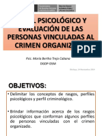 535 4 Perfil PsicolÓgico y EvaluaciÓn de Las Personas Vinculadas PPT Chiclayo