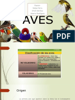 Expo Aves