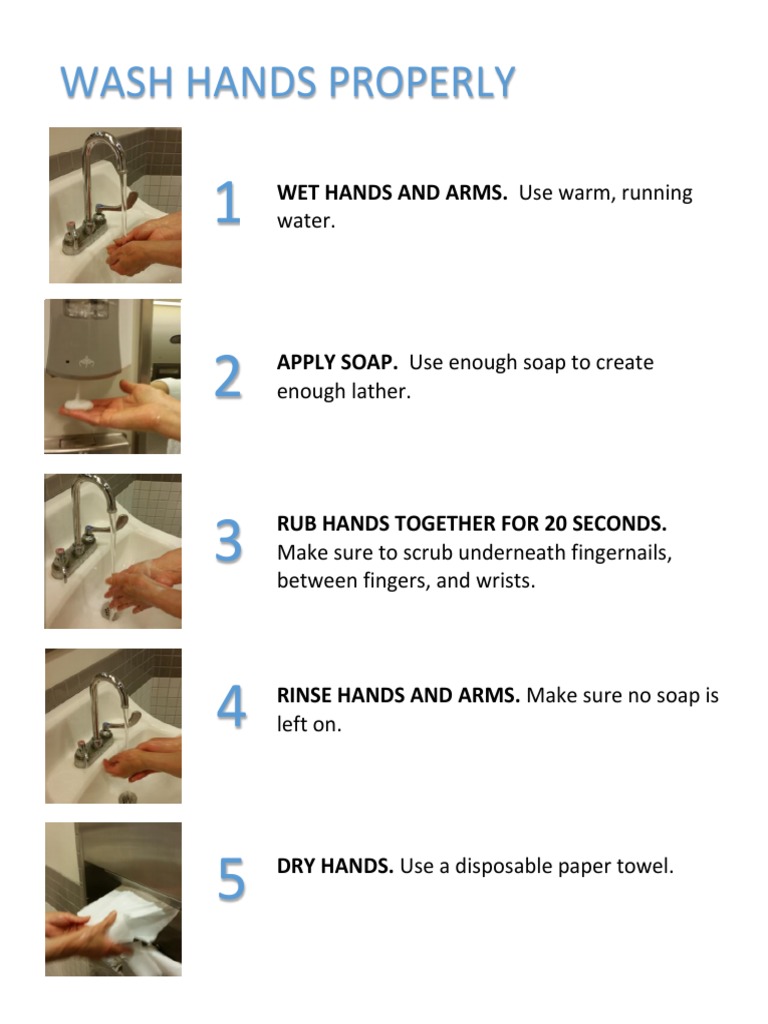 Proper Hand Washing Steps Guide | PDF | Cooking, Food & Wine | Lifestyle