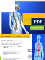 Biomecanica de La Columna Cervical y Dorsal 12 y 12