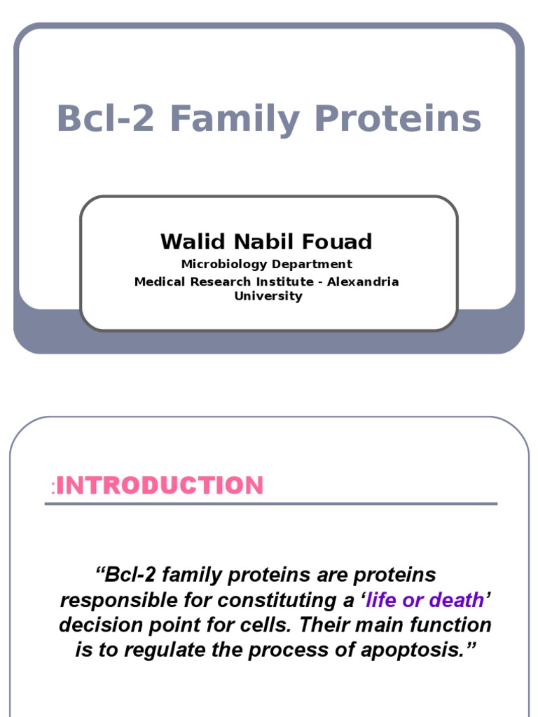 Bcl-2 Family Proteins and Apoptosis | PDF | Bcl 2 | Apoptosis