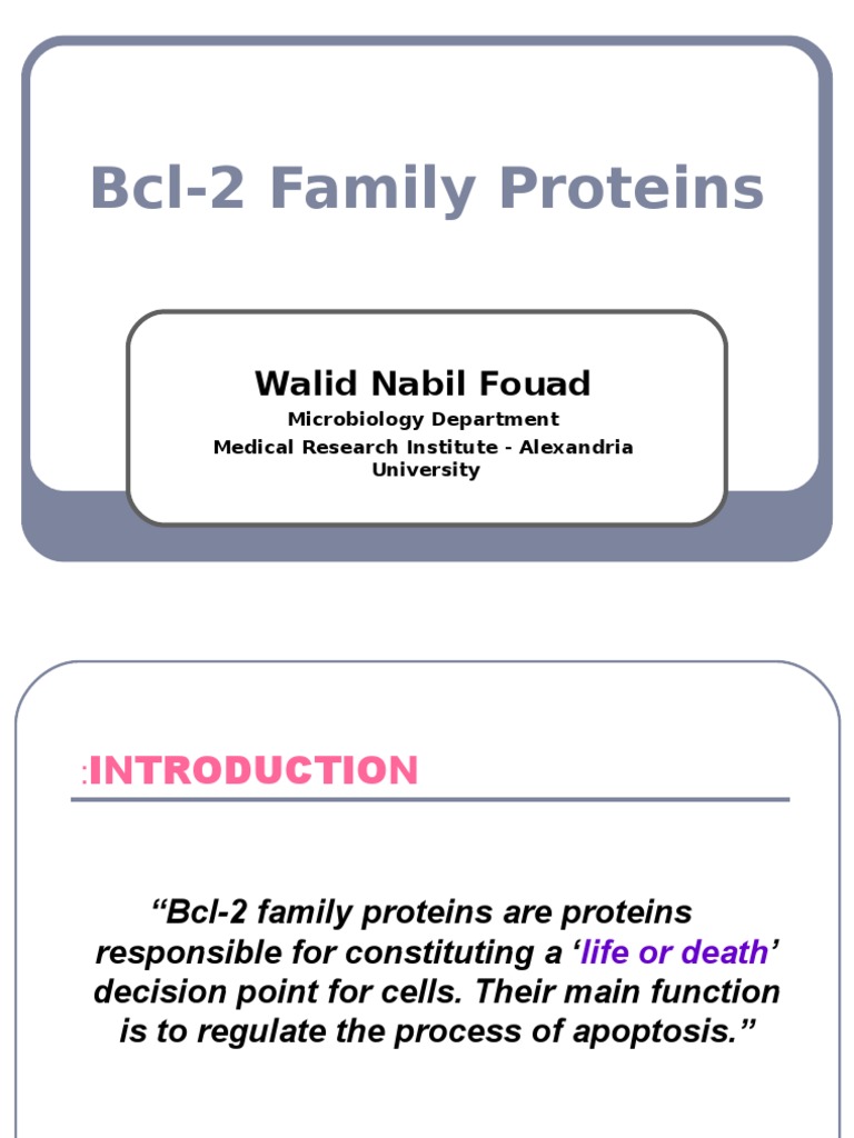 Bcl-2 Family ProteinsBcl-2 Family Proteins