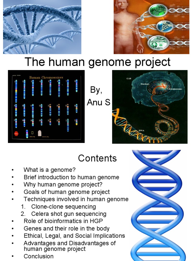 write an essay on human genome project