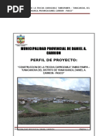 Perfil de Trocha Carrozable 