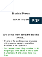 How To Draw Brachial Plexus Online Lecture