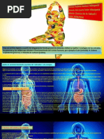 Act.cuestionario Sobre La Teoría Bernard de Sistemas