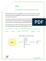 3.8 - Photosynthesis.pdf