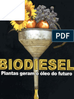 Biodiesel - Artigo Sobre Efeitos Do Uso Do Biodiesel