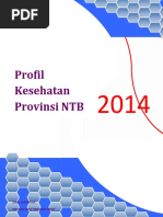 Download Profil Kesehatan Provinsi NTB Tahun 2014 Final by Reiza Indra SN316411839 doc pdf