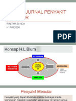 Review Jurnal Penyakit Menular