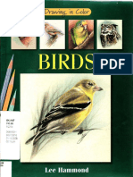 Drawing in Color Birds PDF