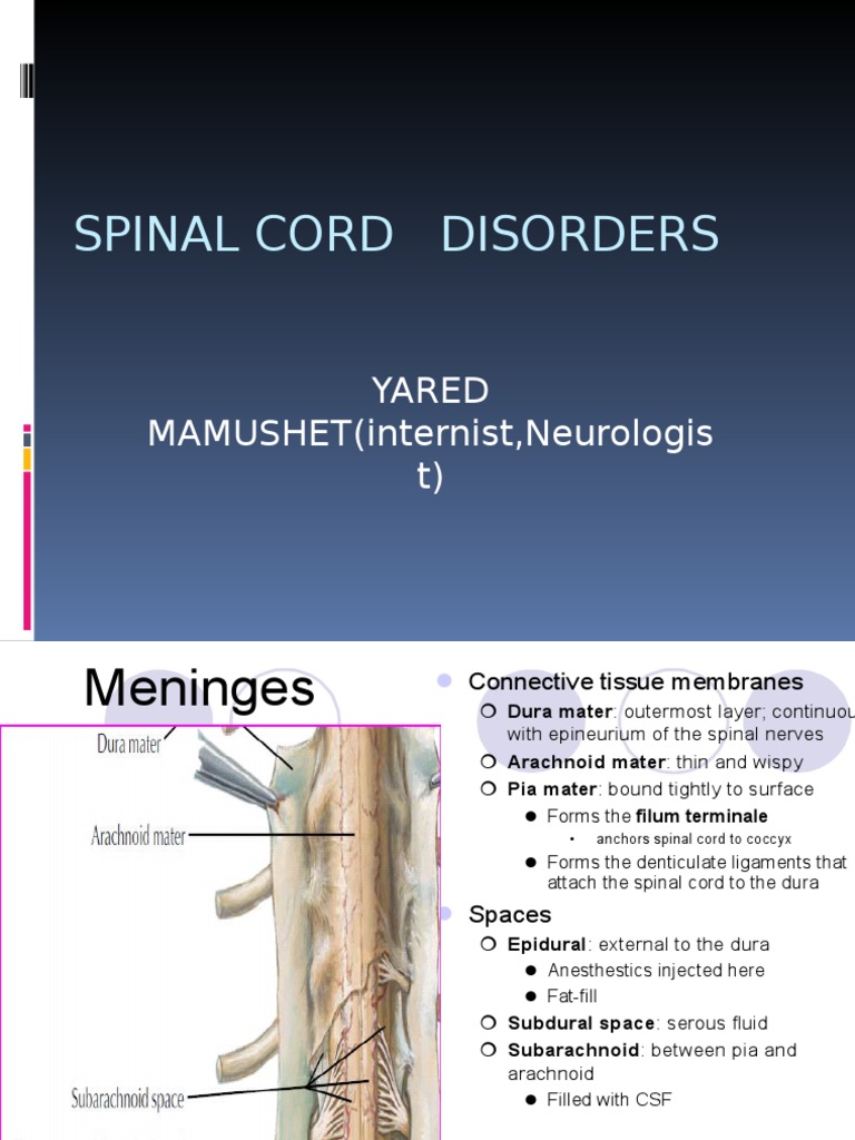 Spinal Cord Disorders Overview | PDF | Self-Improvement | Wellness