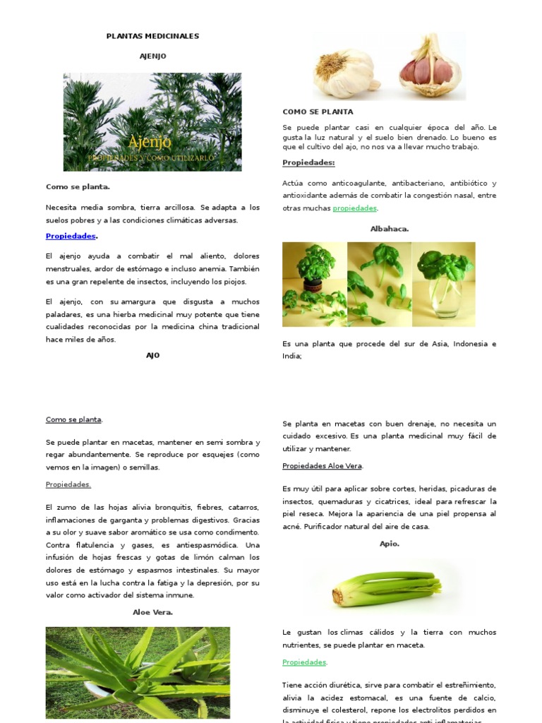Plantas Medicinales Docx