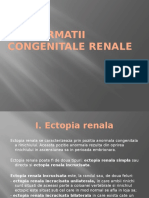 CURS 5 - Malformatii Renale