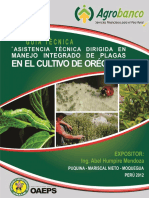 028 A Oregano PDF