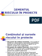 Managementul Riscului În Proiecte