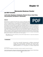 Relation Between Mitochondrial Membrane Potential