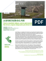 La Deforestacion en El Peru