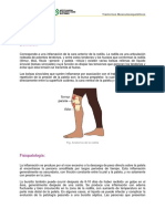 Bursitis Prepatelar PDF