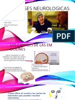 Bases Neurologicas de Las Emociones