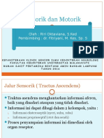 Referat Jalur Motorik Dan Sensorik