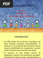POB paralisis braquial obtetrica